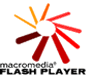 Flash